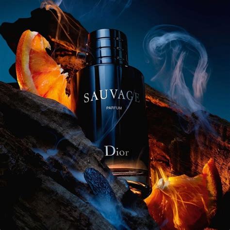 sauvage dior parfüm erkek|dior sauvage cologne top notes.